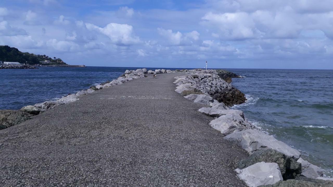 Les Hirondelles 2Km De La Plage-Jardin-Wifi-Parking-Draps Et Serviettes Hendaye Kültér fotó